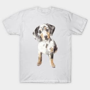 Doxie Dapple T-Shirt